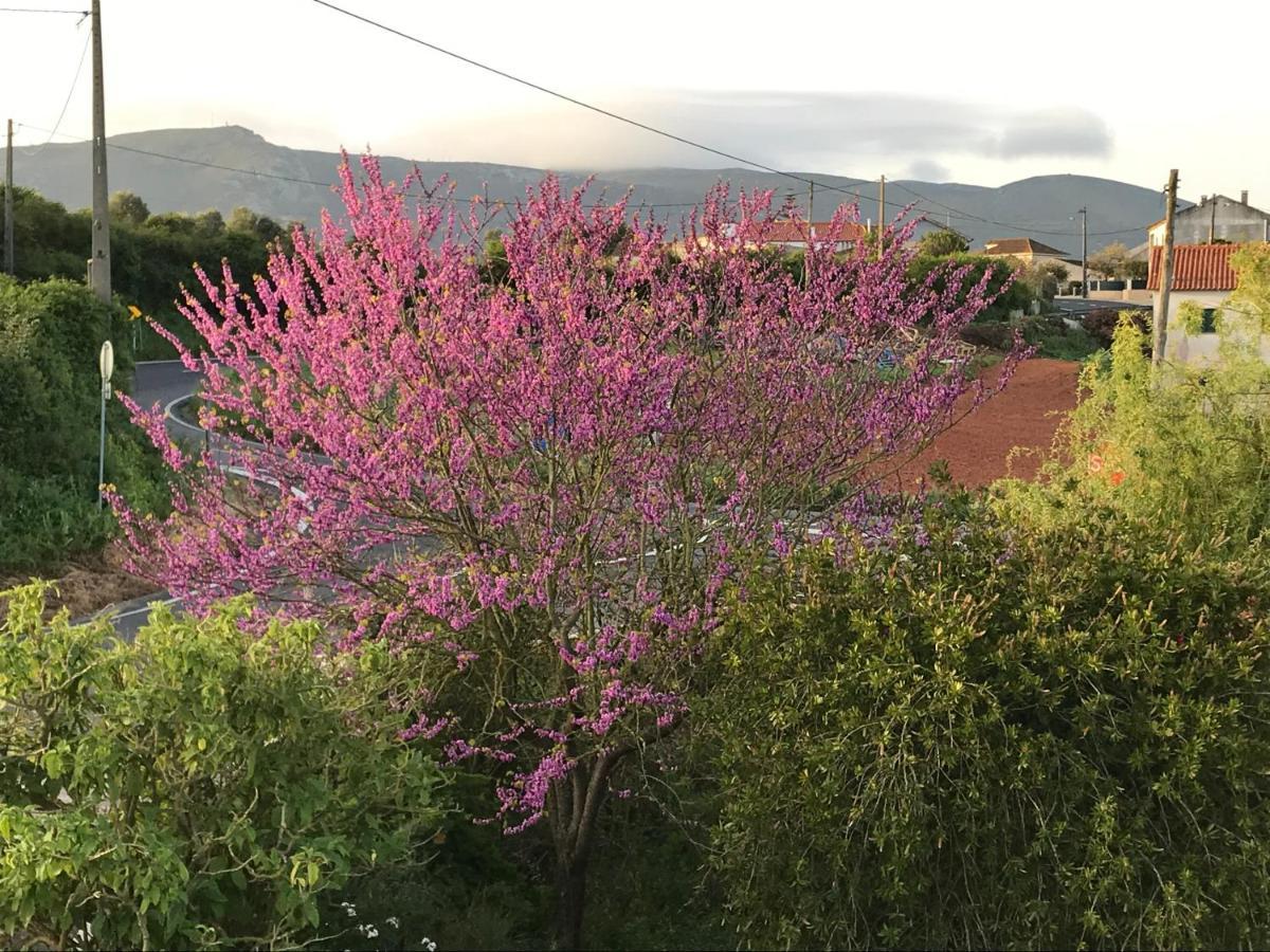 Ceu Sobre Montejunto Boutique B&B Cadaval Exteriör bild